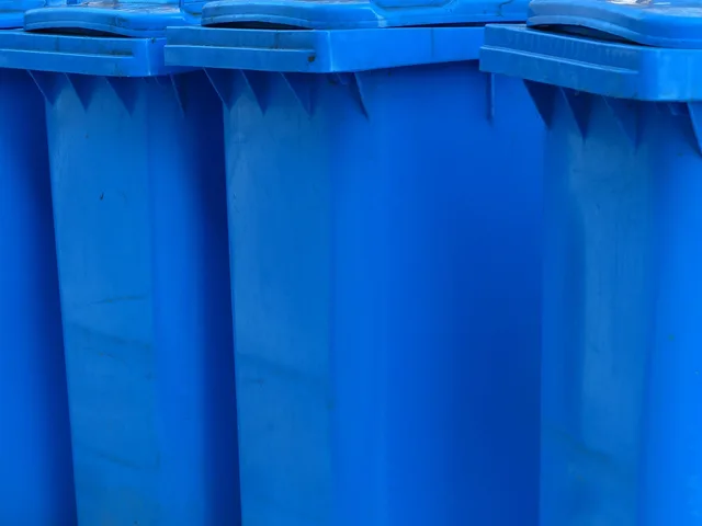 garbage can, paper wheelie bin, blue tonne, nature, blue, ton of plastic, plastic, garbage, paper, paper waste, winter, snow, cold. Planowanie magazynu e-commerce: strefy, oznakowanie i ścieżki kompletacji